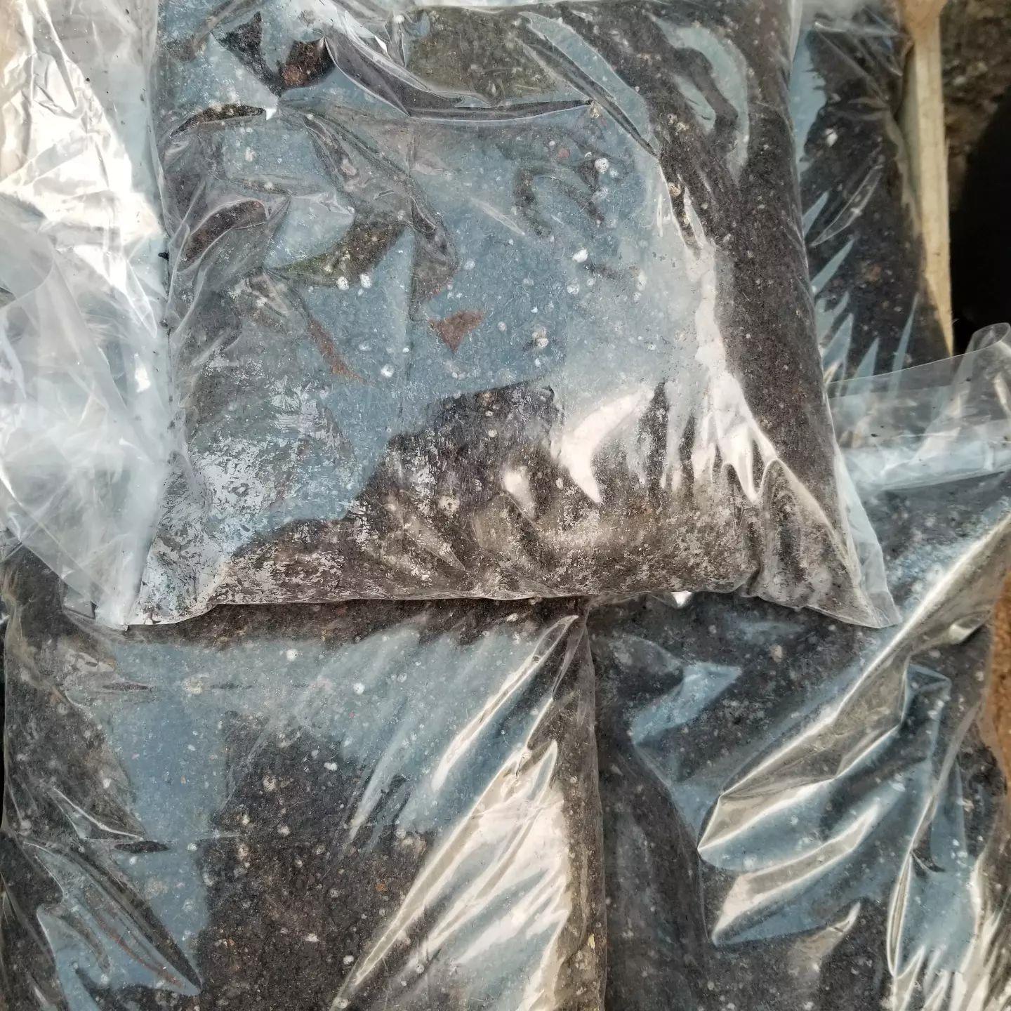 TANEMİX Narenciye Fidanları İçin Gübre Katkılı Torf Toprak Karışımı 25 LT