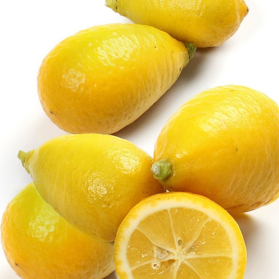 Berke Fidancılık 6 Yaş Aşılı Limequat Süs Limonu Fidanı – Torbada, Meyve Veren, Dekoratif Narenciye